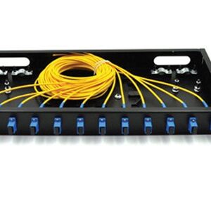 12 Port Fiber Optic Patch Panel